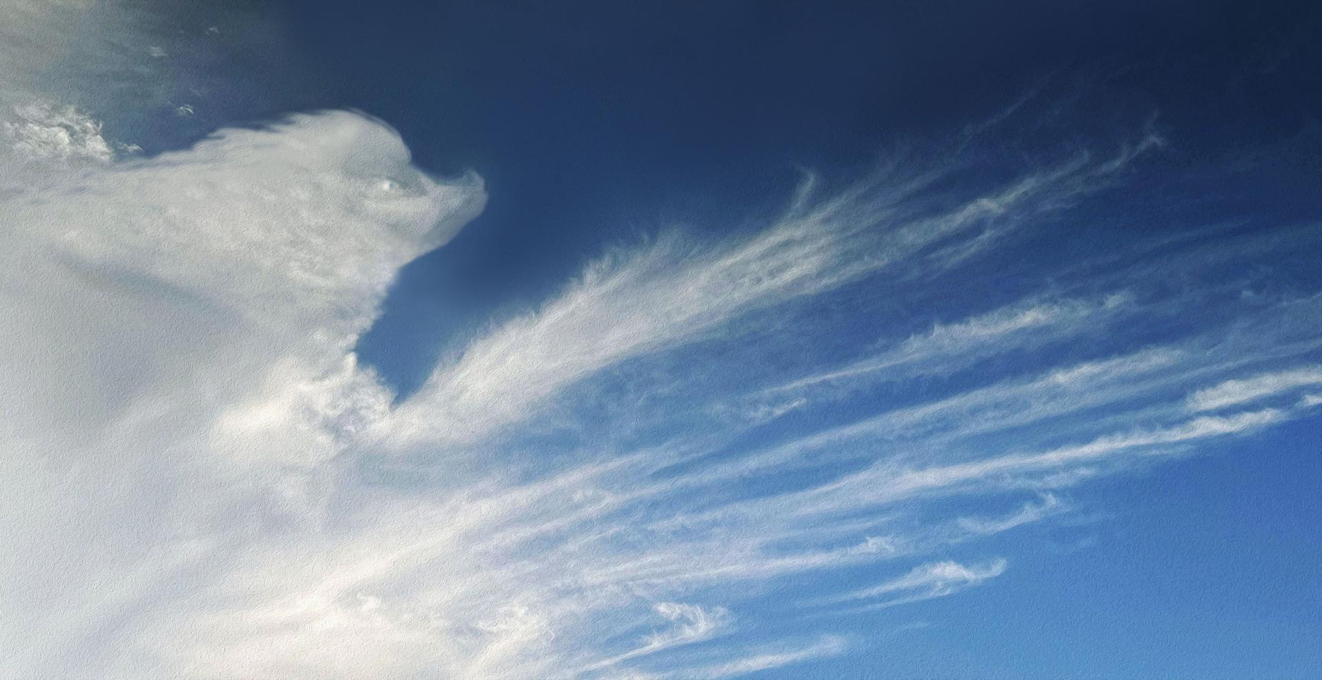 Spirit dog in clouds